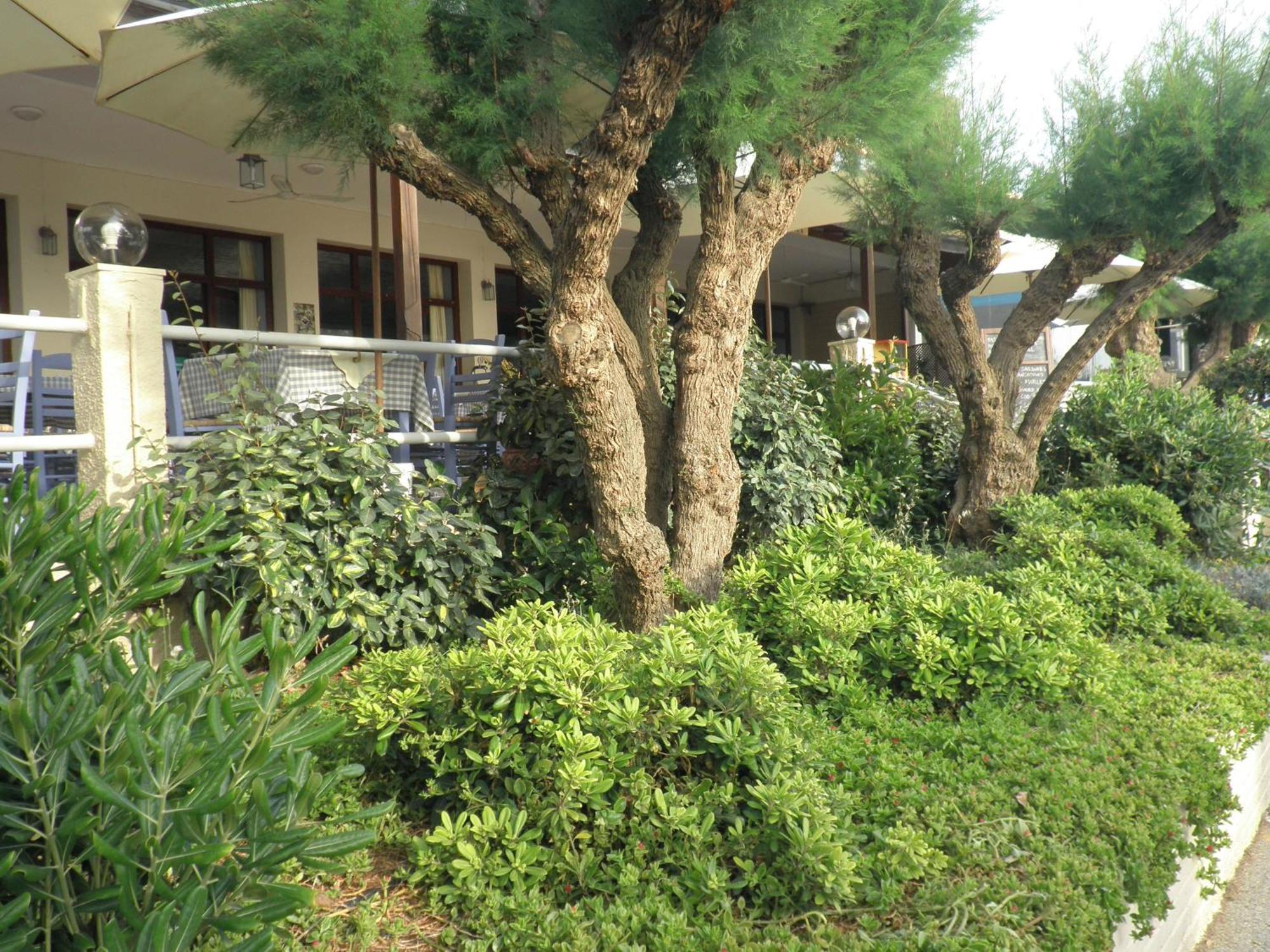 Akrogiali Kyparissia Esterno foto