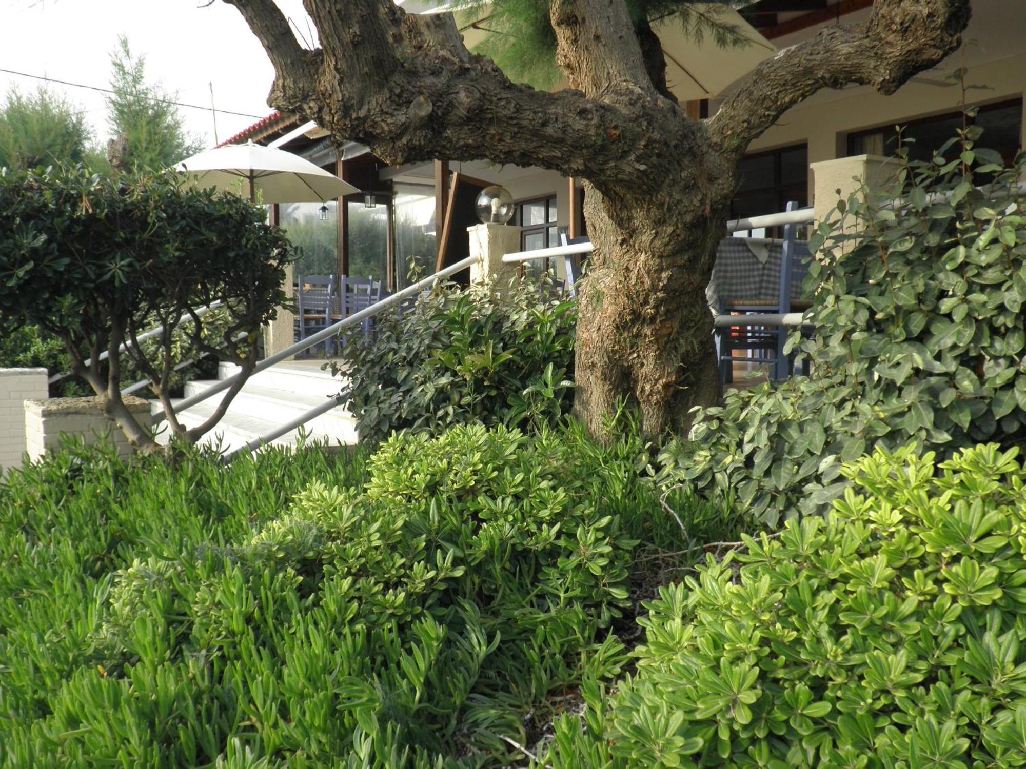Akrogiali Kyparissia Esterno foto